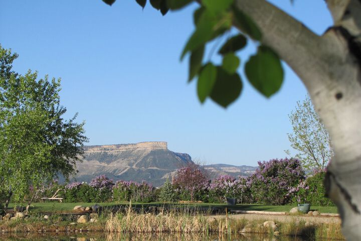 Starry Nights Ranch Bed & Breakfast