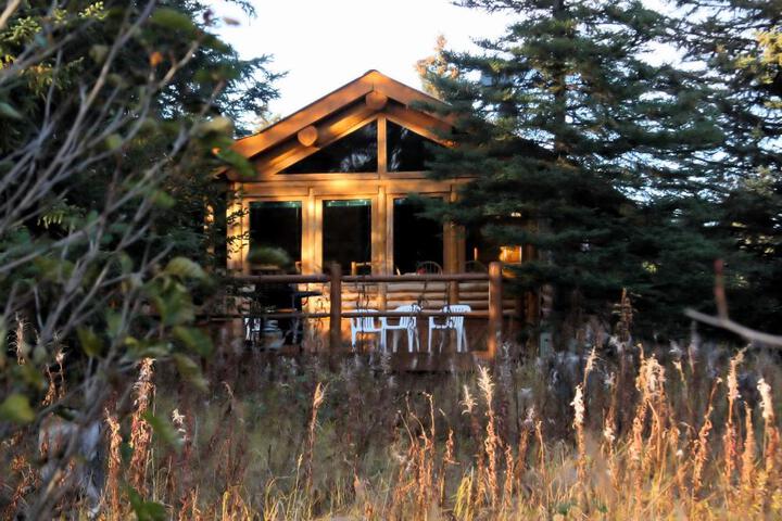 Moose Cabin