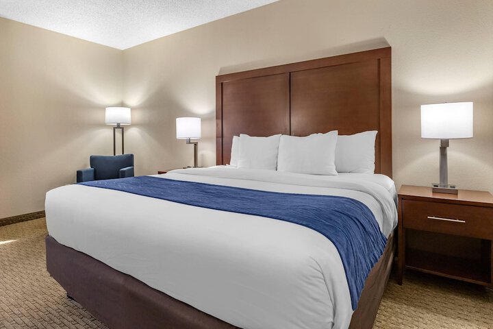 Comfort Inn Near Greenfield Village