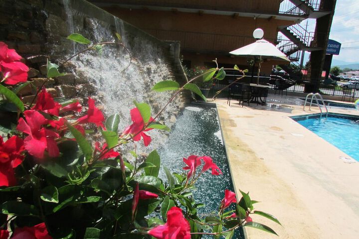 Pool 8 of 80