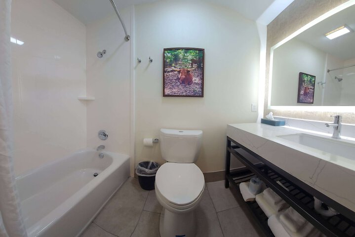 La Quinta Inn & Suites by Wyndham Dallas Mesquite