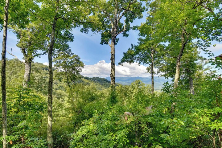 Scenic Views & Trail Access! Blue Ridge Mtns Condo