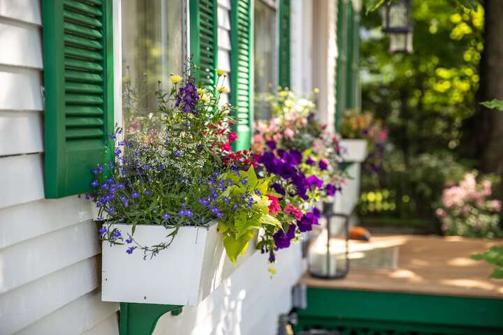 The Woodstocker B & B