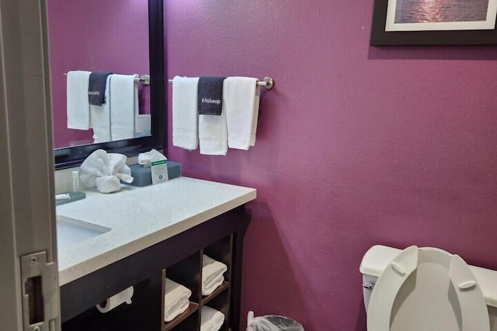La Quinta Inn & Suites by Wyndham Dallas Grand Prairie North