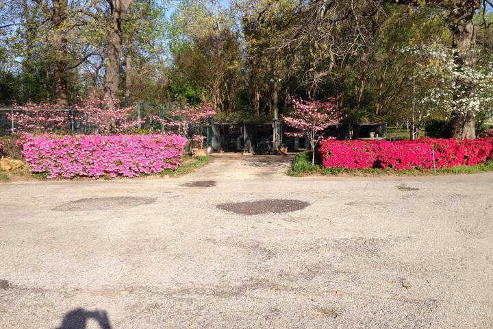 Dogwood Springs Lodgings
