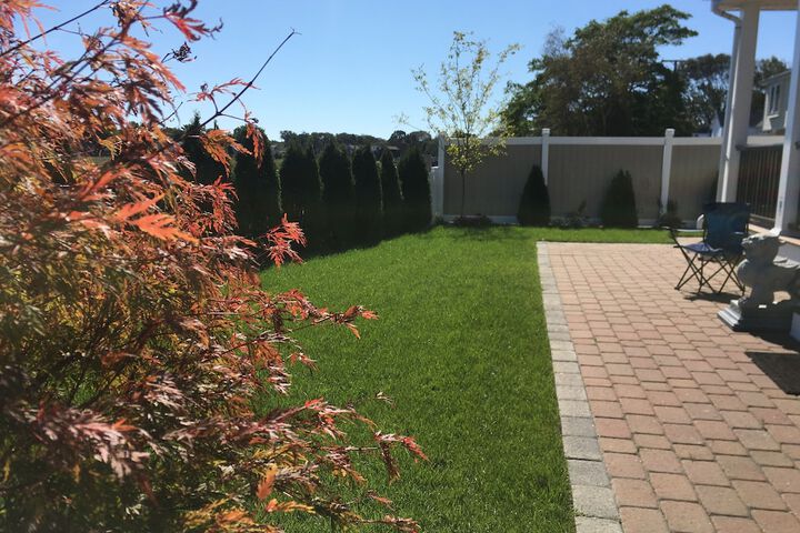 Rooms in Family House in Salem Boston