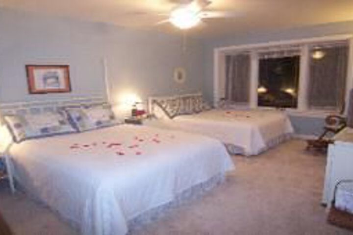 Tree Top Bed & Breakfast