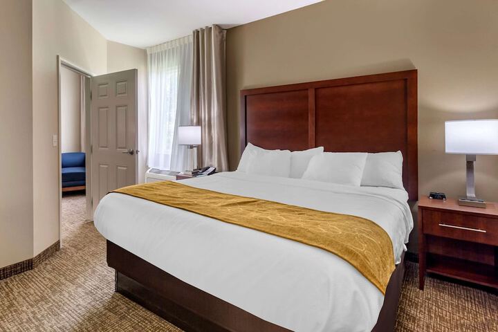 Comfort Suites Clarksville near Governors Square Mall