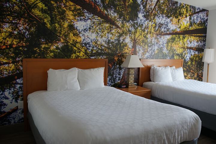 Room 45 of 56