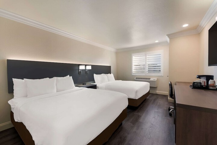 Room 19 of 36