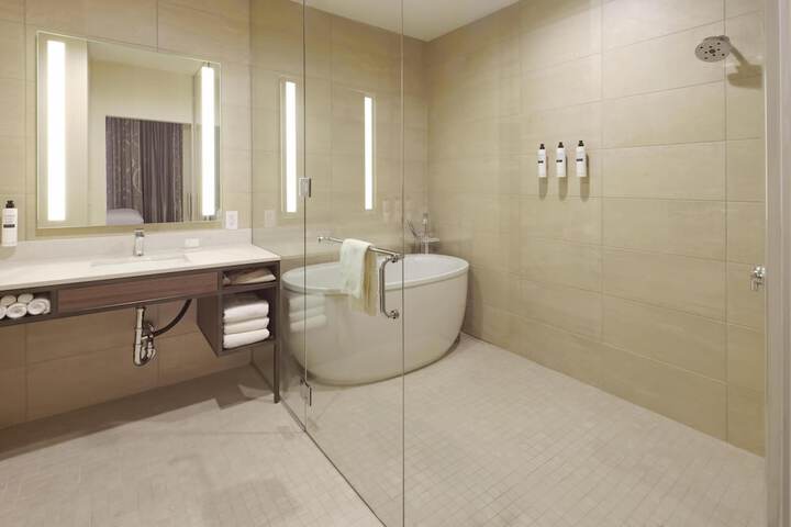 Hilton Garden Inn Chandler Downtown