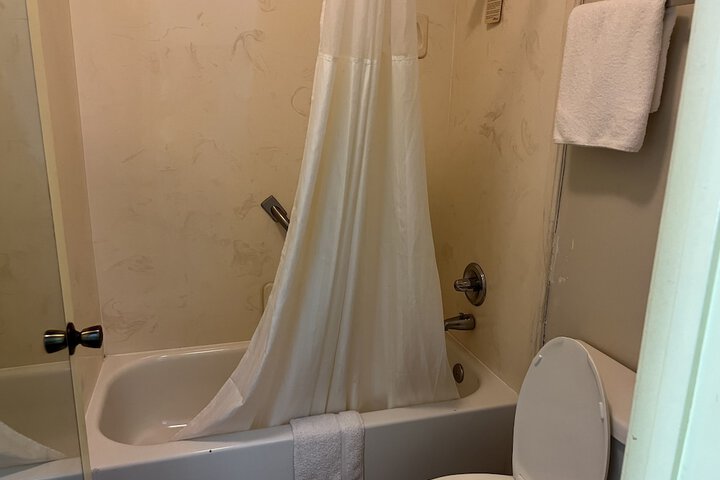 Room 25 of 29