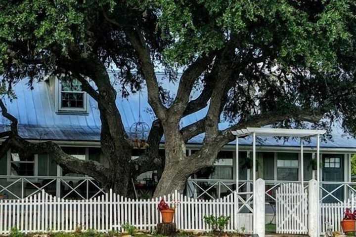 The Alexander at Creek Road