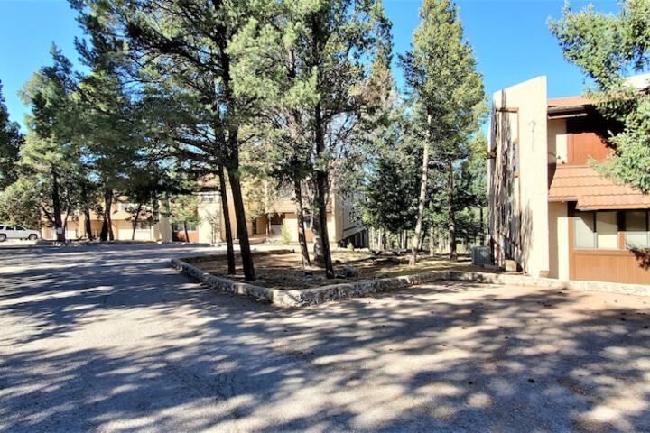 High Sierra Condominium