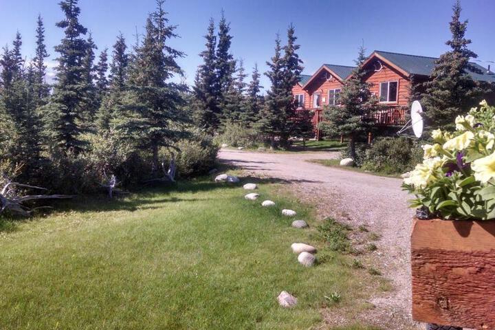 Denalis Alaskan Spruce Cabins