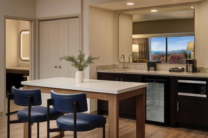 Hyatt Regency Suites Atlanta Northwest