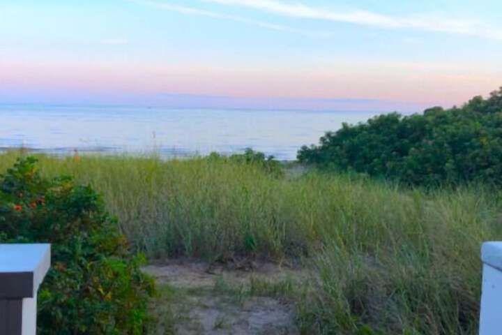 Beach 174 of 230