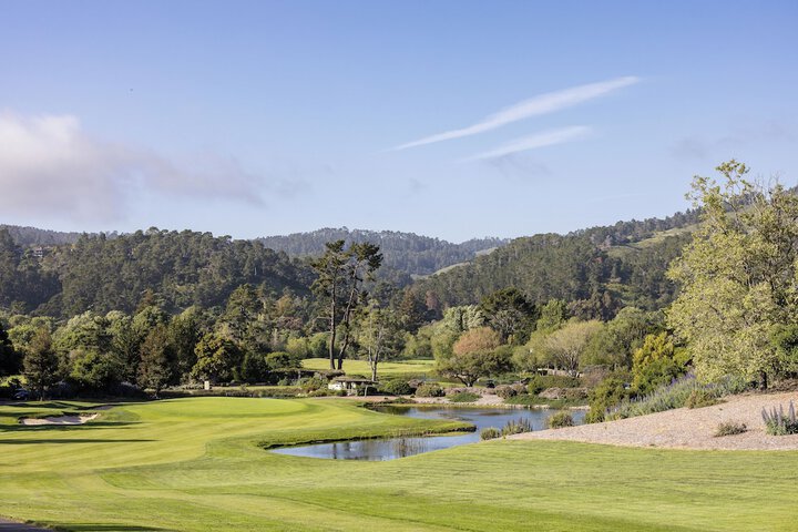 The Quail