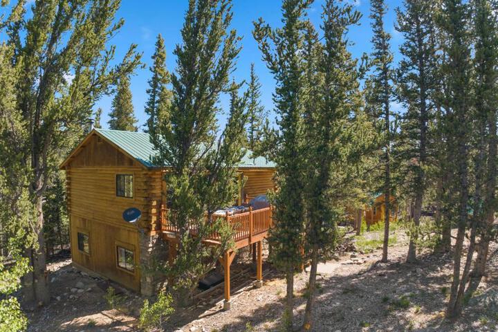 Relaxing Alpine Oasis - Minutes from Breckenridge