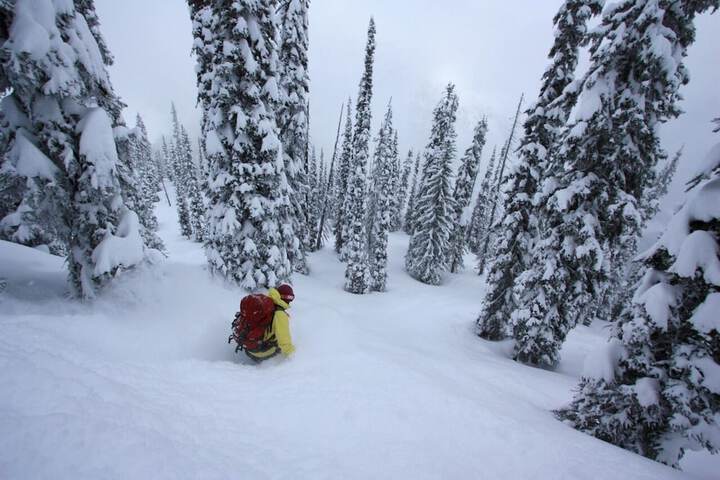 Snowy Mountain Lodge