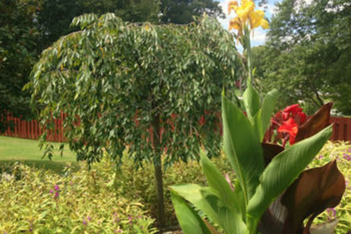 Florence Inn Bed and Breakfast