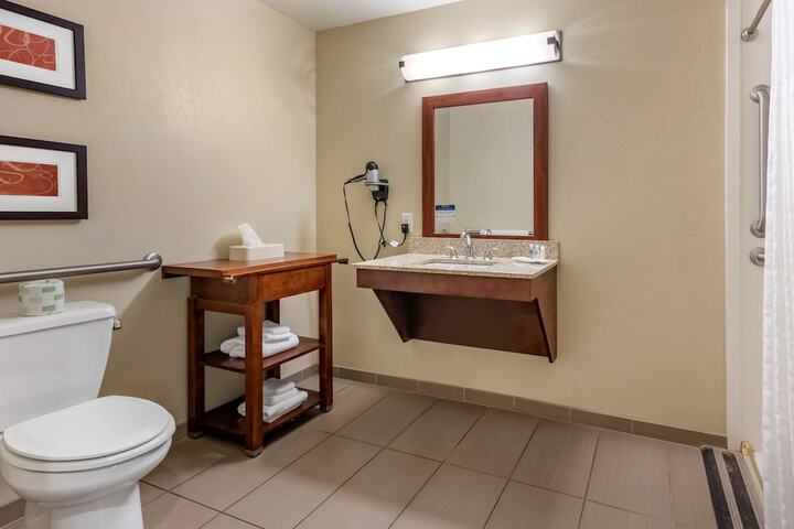 Comfort Suites Airport - University