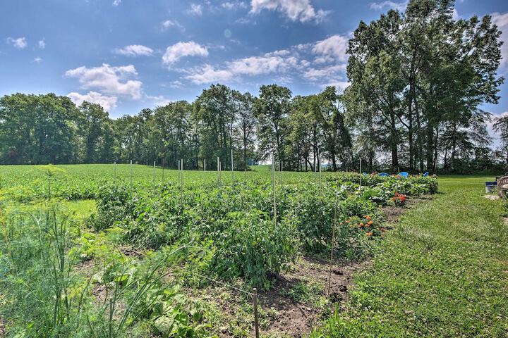 Renovated Bunkhouse on 12-acre Horse Farm!