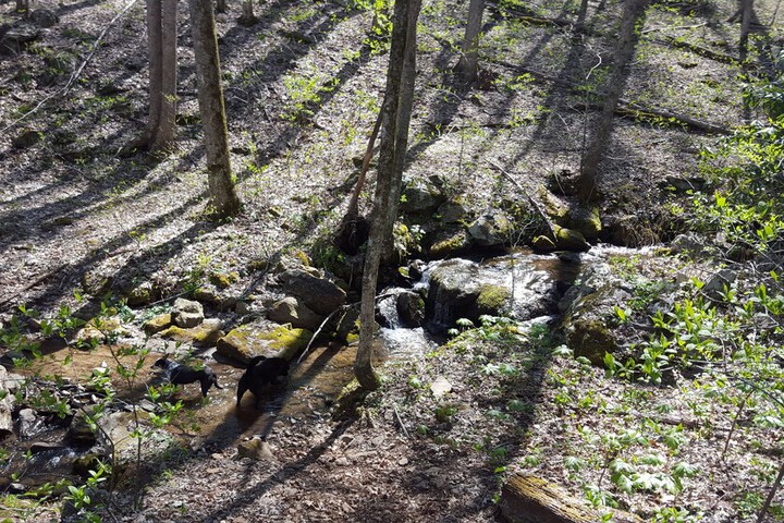 Pisgah View Ranch