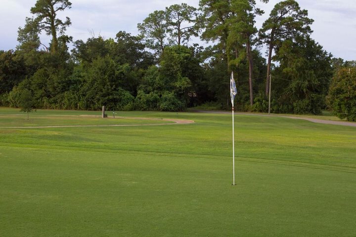 Golf 37 of 37