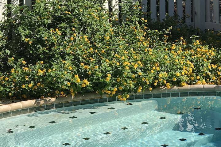 The Plantation House Boutique Inn