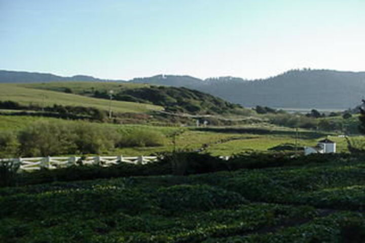 Point Reyes Vineyard Inn