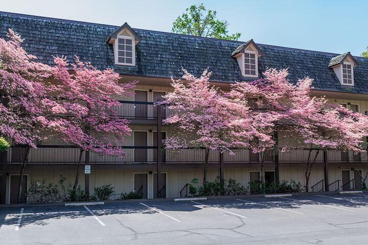 Riverside Inn