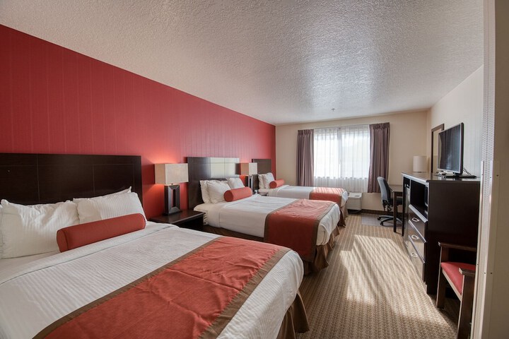 Room 42 of 52