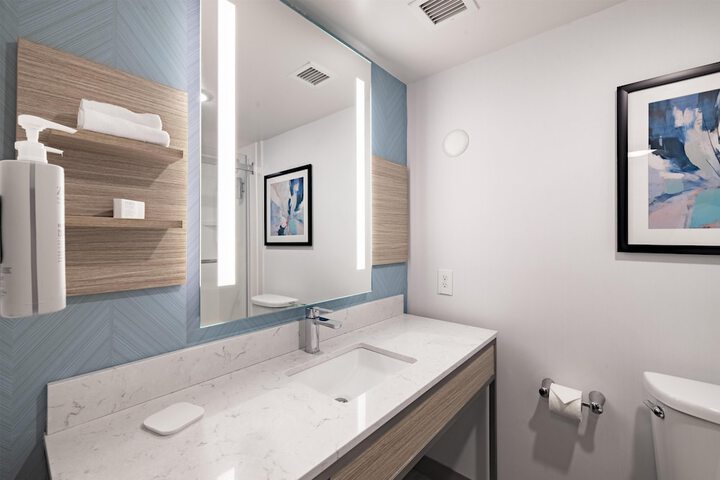 Hilton Garden Inn Albany