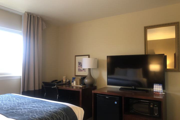 Room 20 of 81