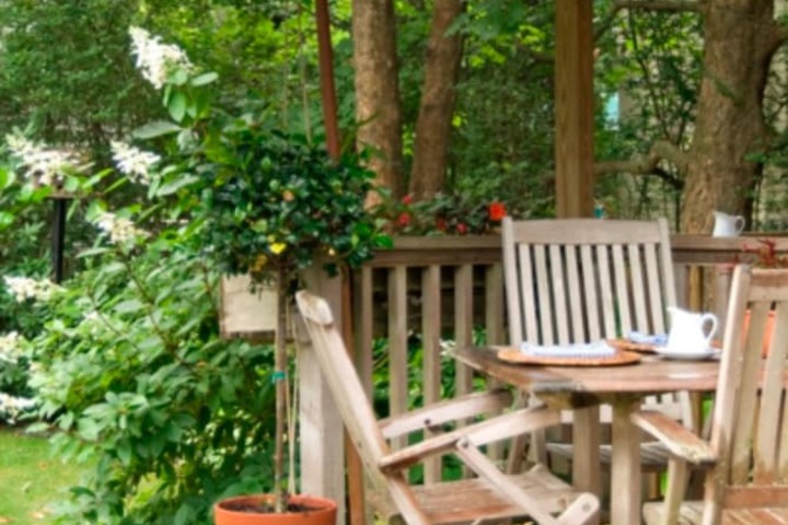Terrace/Patio 45 of 47