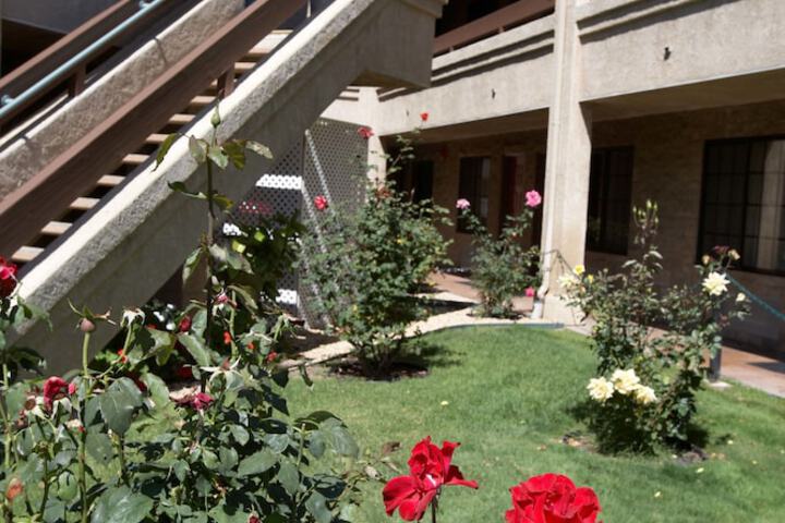 Hotel Exterior 39 of 44
