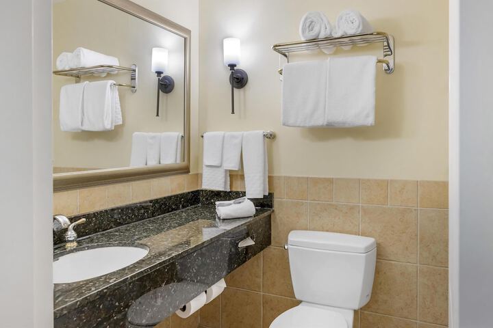 Best Western Plus Vineyard Inn & Suites