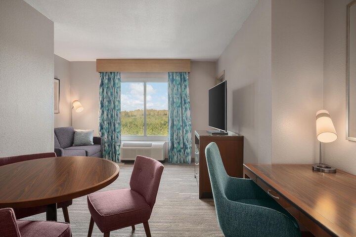 Hilton Garden Inn Tampa North Busch Gardens