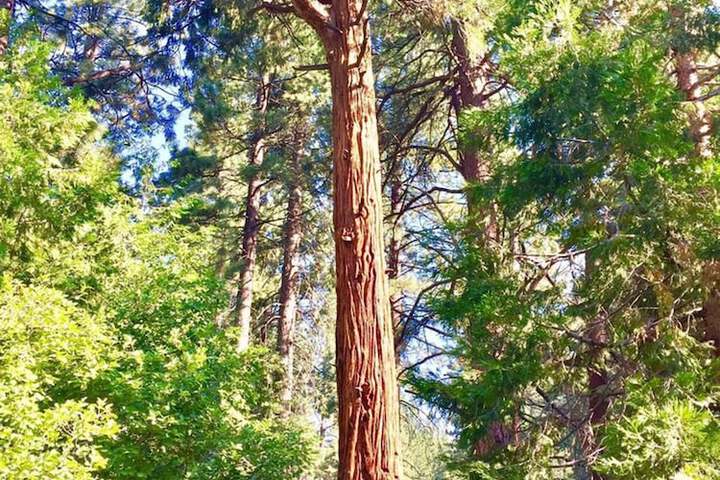 Club Tahoe