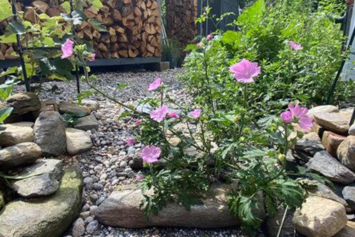 Vermont Lake Whitingham Mount Snow Area Apartment