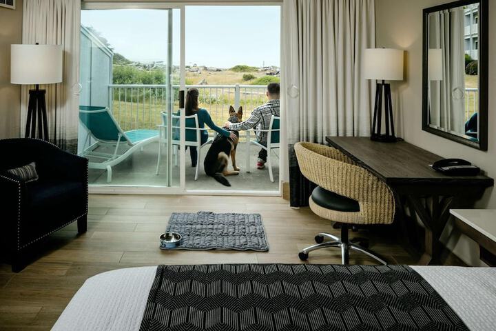 Room 20 of 46