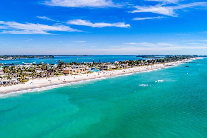 Anna Maria Island Beach Palms 5B