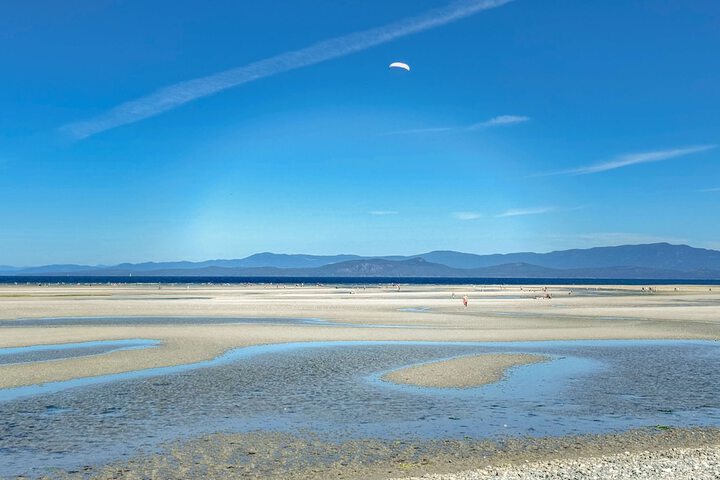 Beach 53 of 57