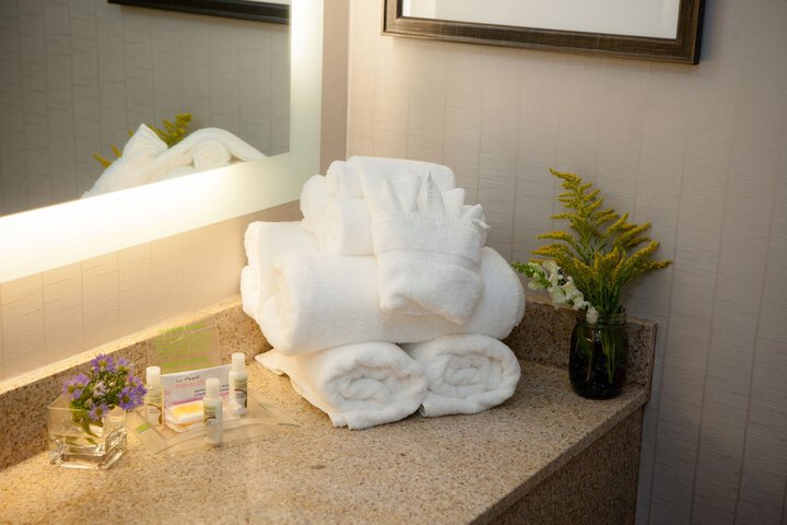 Holiday Inn Greenville by IHG