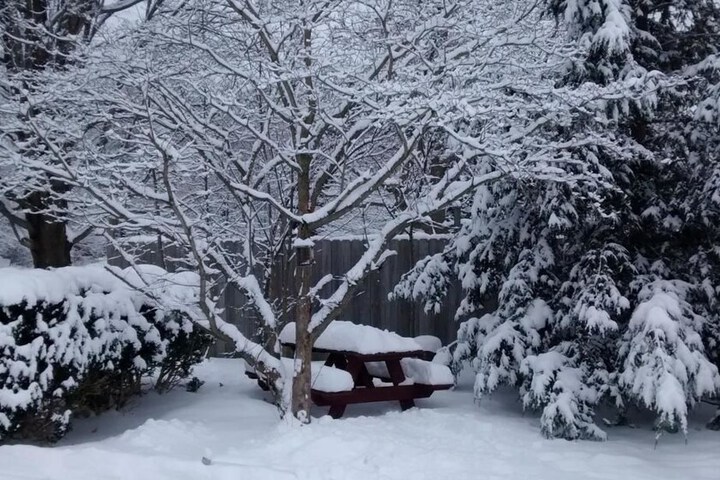 Property Grounds 36 of 46