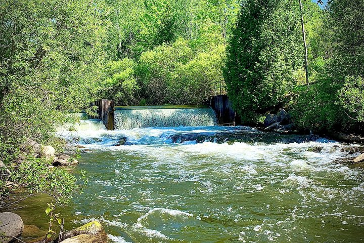 Benzonia Rustic Resort