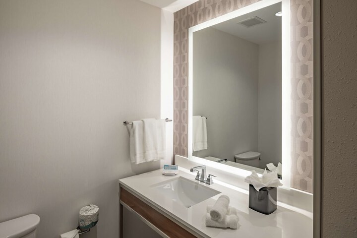 Hilton Garden Inn Dallas at Hurst Conference Center