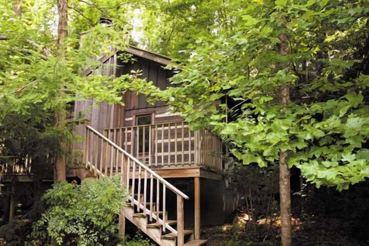 Dancing Bear Lodge