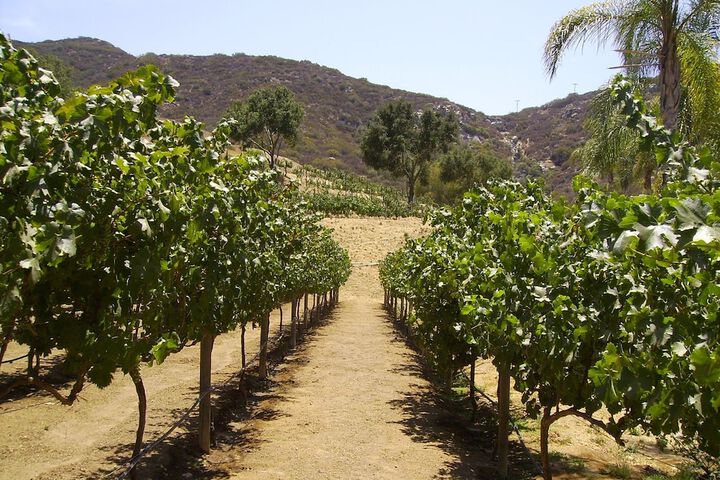 Vineyard Hacienda